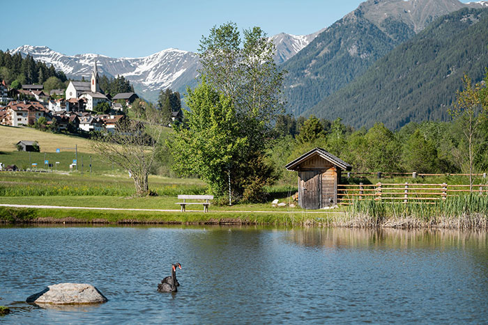 Park im Sommer - See